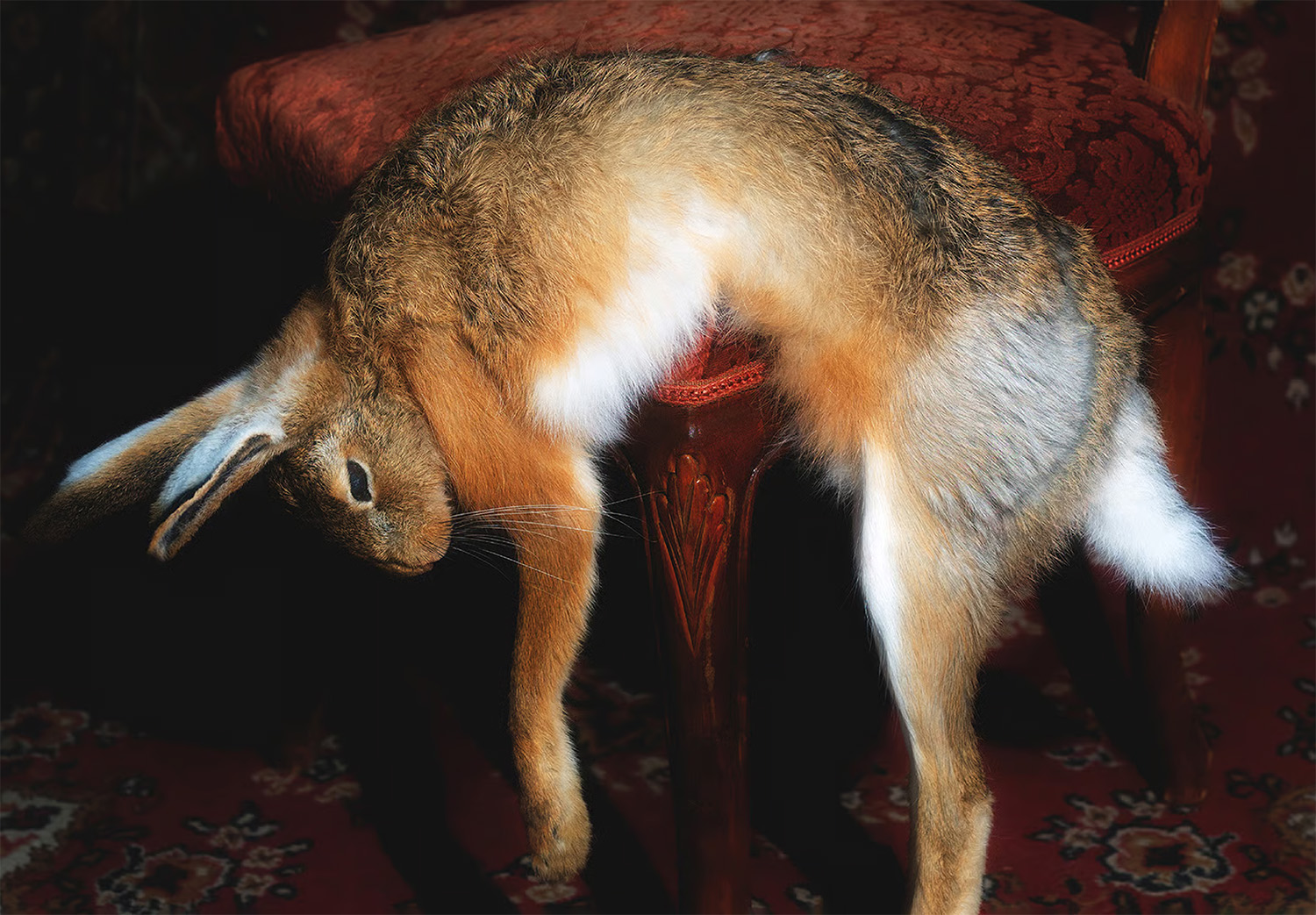 Krass-Festival-2026-Kampnagel-Hamburg-toxische-pommes-wunschlos-ungluecklich-copyright-the-artistes