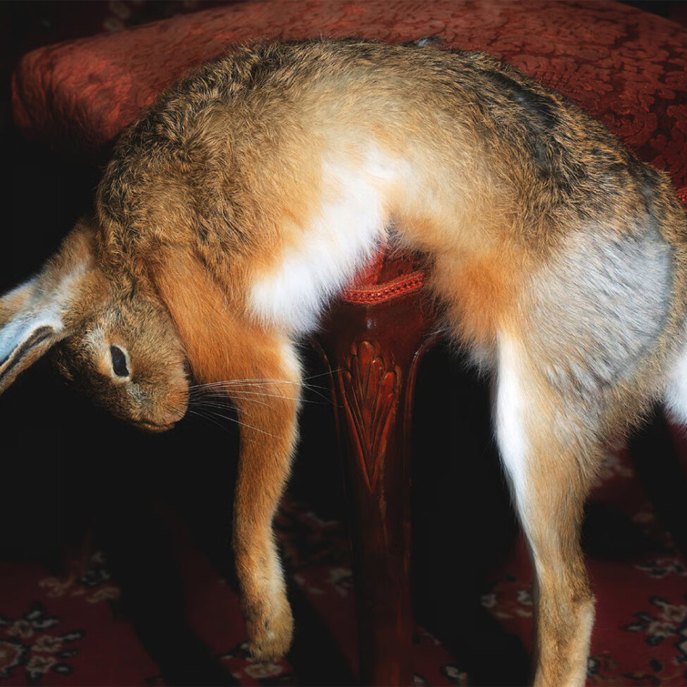 Krass-Festival-2026-Kampnagel-Hamburg-toxische-pommes-wunschlos-ungluecklich-copyright-the-artistes